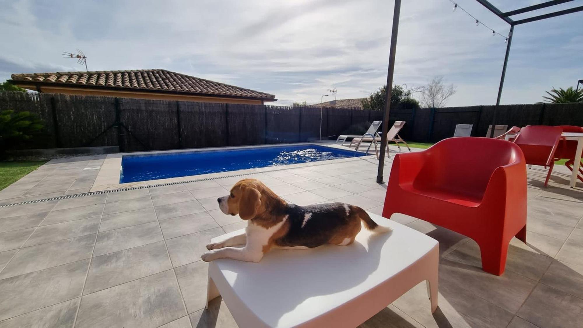 Villas Medes Mar - Plus Costa Brava L'Estartit Luaran gambar